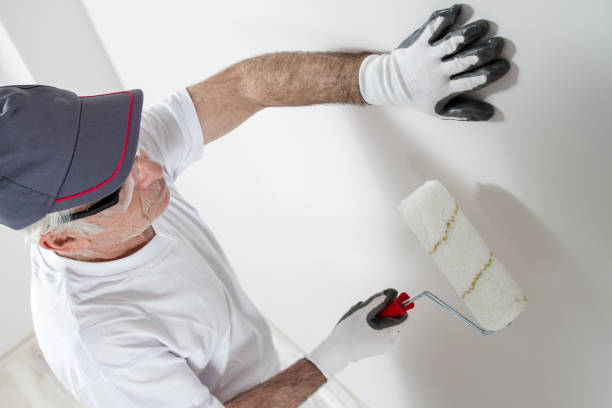 Best Environmental Consulting for Mold Prevention  in Fayetteville, AR