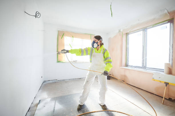 Best Post-Construction Mold Inspection  in Fayetteville, AR