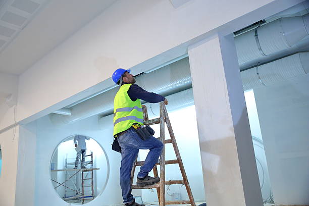 Trusted Fayetteville, AR Mold Removal Experts
